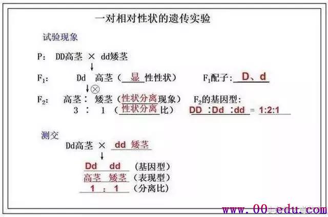 <a href=http://www.00-edu.com/edu-info-1077-0.html target=_blank class=infotextkey>߿</a>ȫ֪ʶ⣡һ޶ι