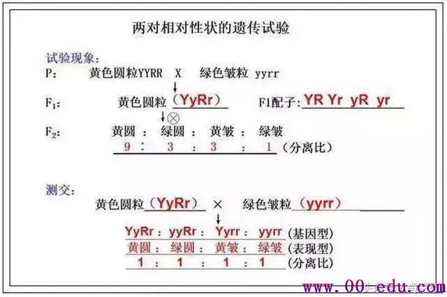 <a href=http://www.00-edu.com/edu-info-1077-0.html target=_blank class=infotextkey>߿</a>ȫ֪ʶ⣡һ޶ι