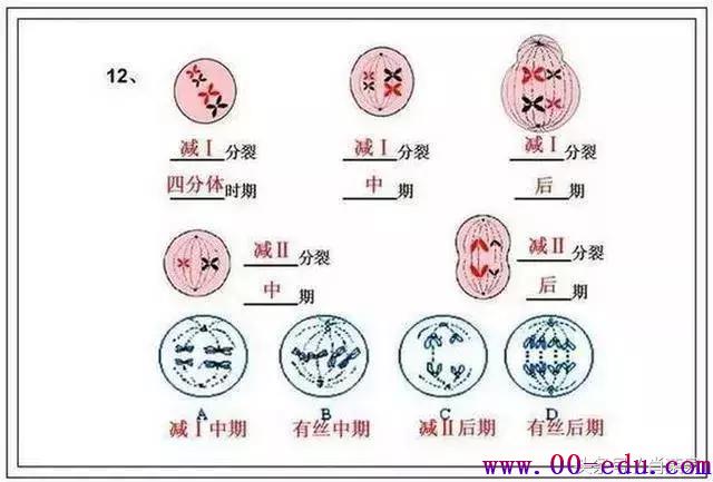 <a href=http://www.00-edu.com/edu-info-1077-0.html target=_blank class=infotextkey>߿</a>ȫ֪ʶ⣡һ޶ι