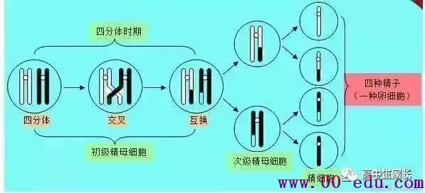 <a href=http://www.00-edu.com/edu-info-1077-0.html target=_blank class=infotextkey>߿</a>ȫ֪ʶ⣡һ޶ι