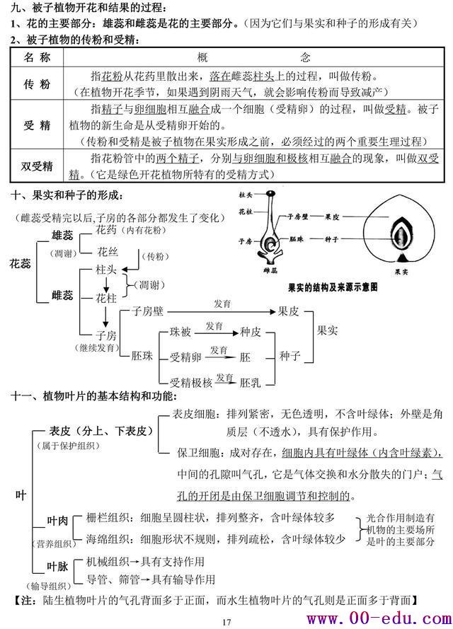 <a href=http://www.00-edu.com/edu-info-582-0.html target=_blank class=infotextkey>п</a>⣨հ棩ϰ֪ʶȫ︴ϰر