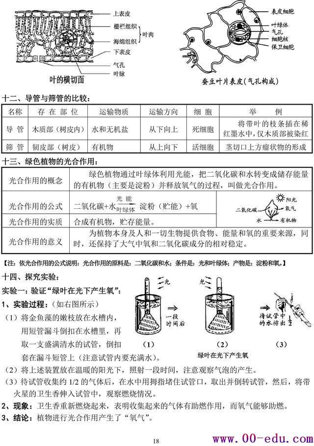 <a href=http://www.00-edu.com/edu-info-582-0.html target=_blank class=infotextkey>п</a>⣨հ棩ϰ֪ʶȫ︴ϰر