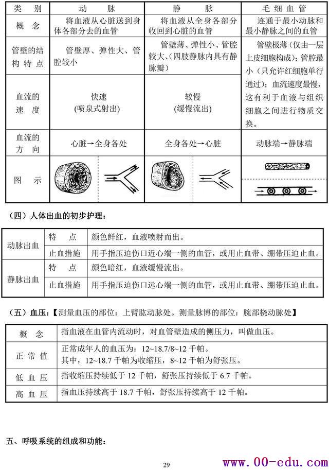 <a href=http://www.00-edu.com/edu-info-582-0.html target=_blank class=infotextkey>п</a>⣨հ棩ϰ֪ʶȫ︴ϰر