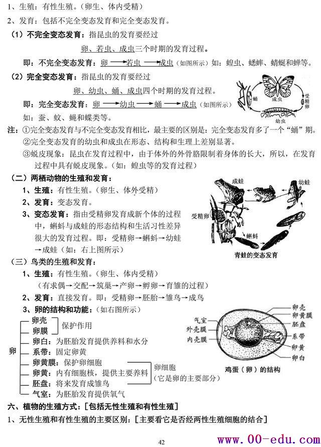 <a href=http://www.00-edu.com/edu-info-582-0.html target=_blank class=infotextkey>п</a>⣨հ棩ϰ֪ʶȫ︴ϰر