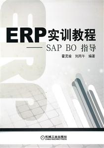 ERPʵѵ̳-SAP BOָ