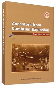 Ancestors from Cambrian Explosion-󱬷Զ