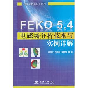 FEKO 5.4ųʵ